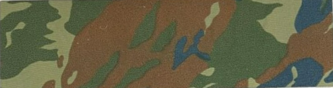 Imagem Paletas de Cores